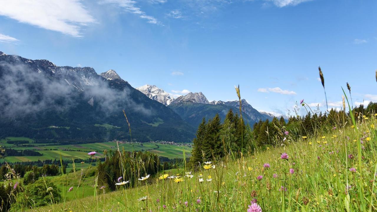 德拉什Panoramahof Am Goldberg公寓 外观 照片